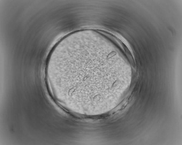 X0000112901005200910021430