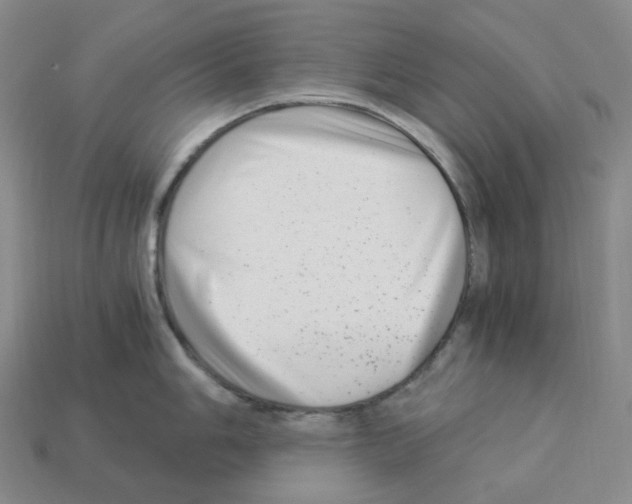 X0000112901006200910021430