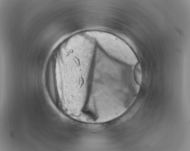 X0000112901007200910021430
