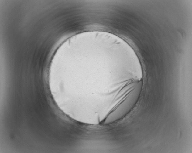 X0000112901008200910021430