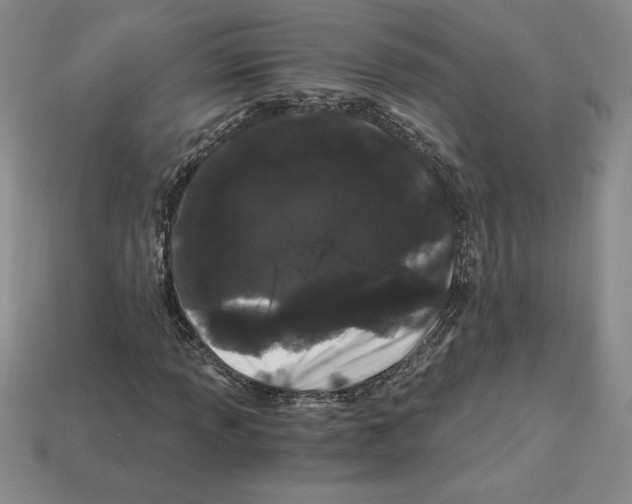 X0000112901013200910021430