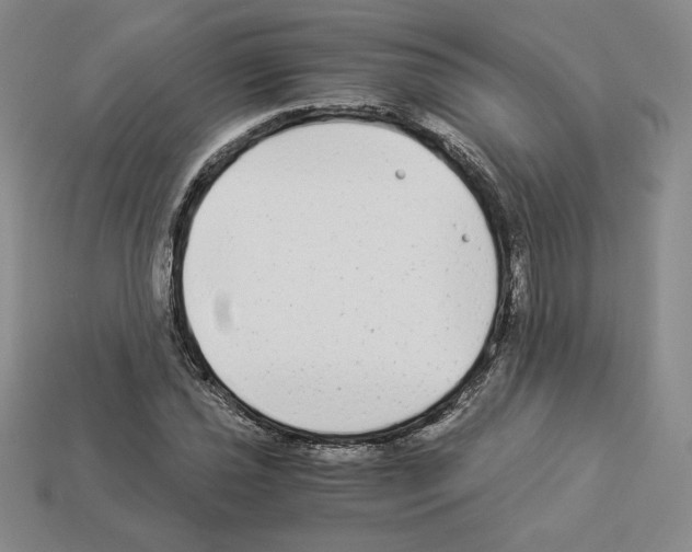 X0000112901021200910021430