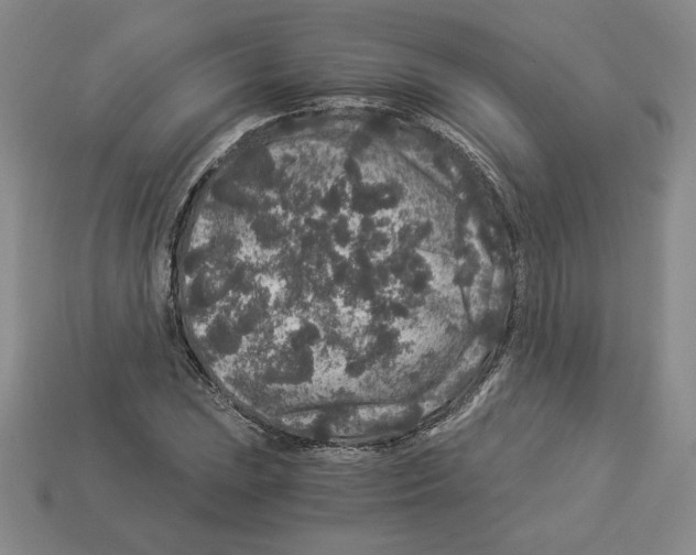 X0000112901023200910021430