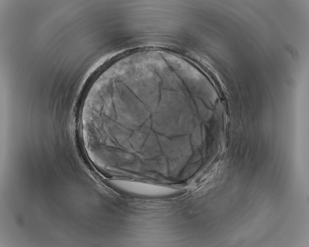 X0000112901024200910021430