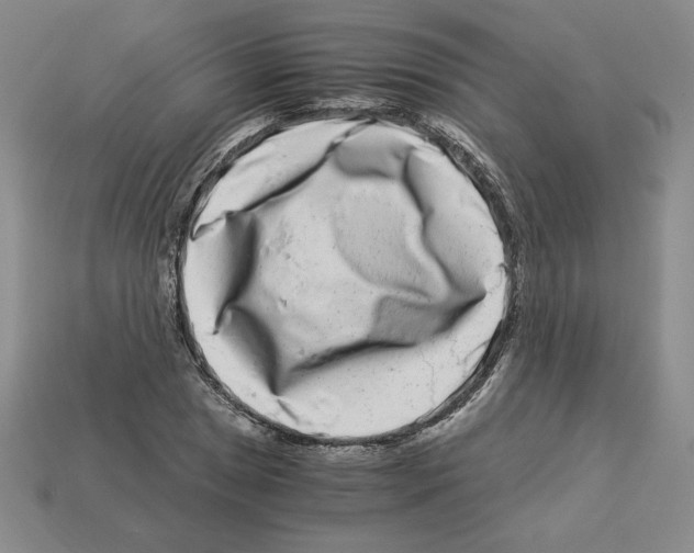 X0000112901025200910021430