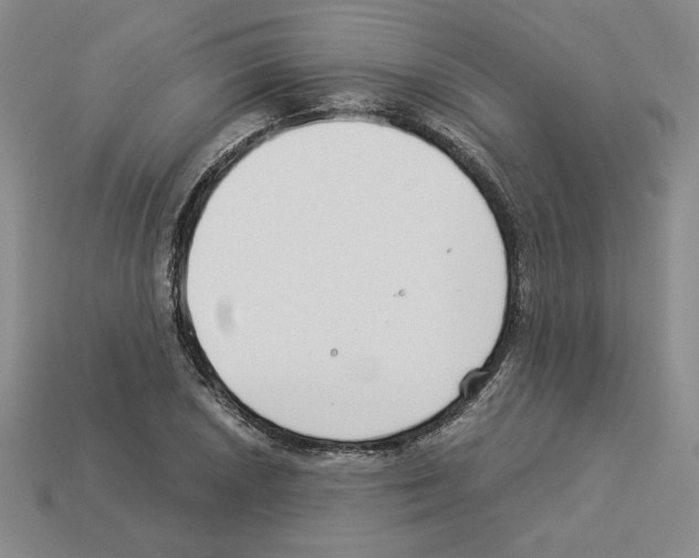 X0000112901026200910021430
