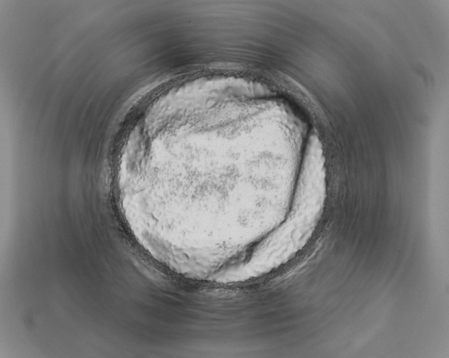 X0000112901027200910021430