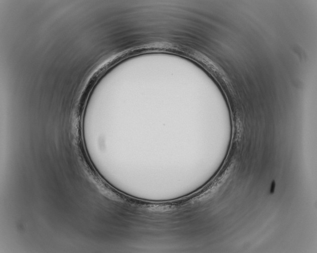 X0000112901029200910021430