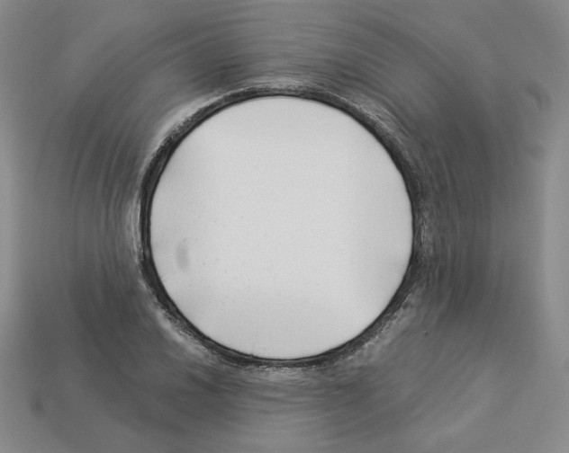 X0000112901030200910021430