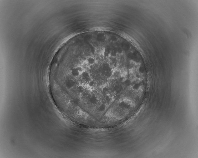 X0000112901031200910021430