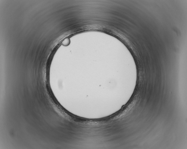 X0000112901034200910021430