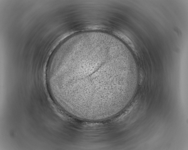 X0000112901039200910021430