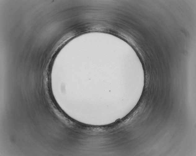 X0000112901042200910021430