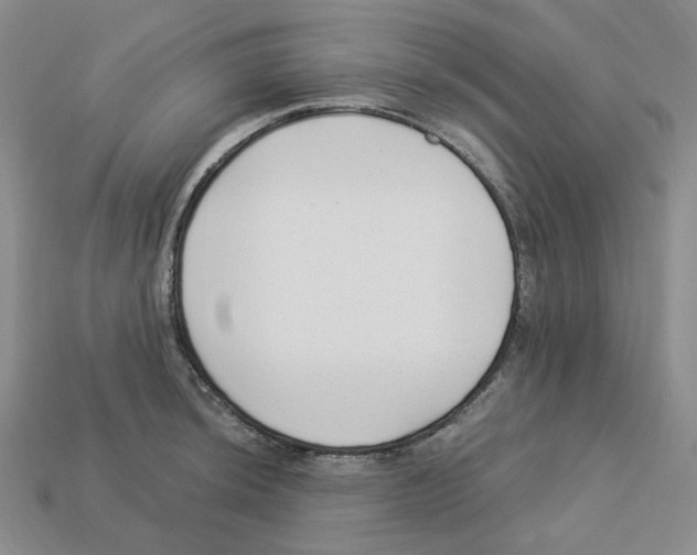 X0000112901044200910021430