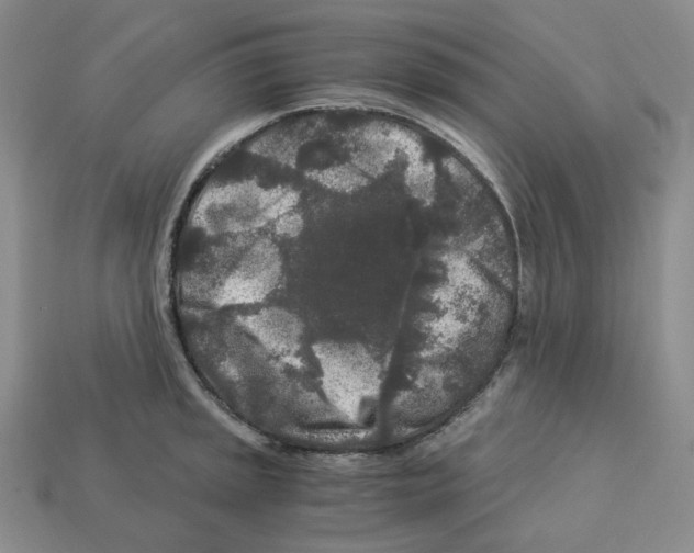 X0000112901045200910021430