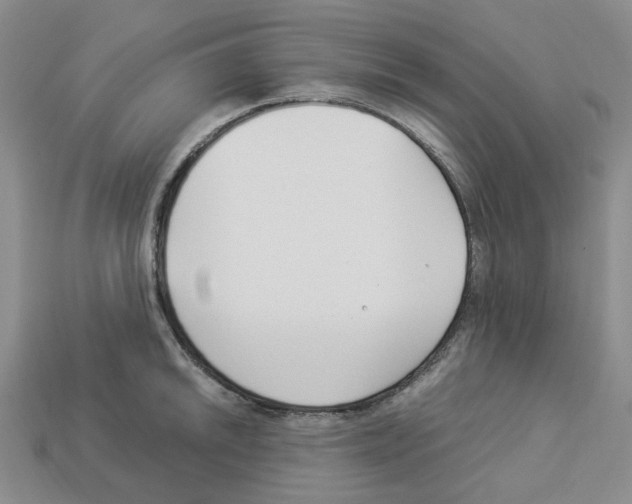 X0000112901046200910021430