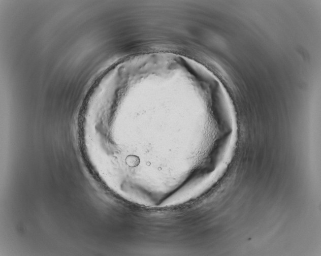 X0000112901047200910021430