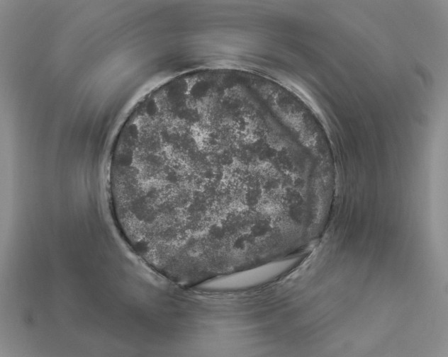 X0000112901048200910021430