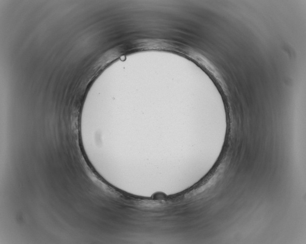 X0000112901049200910021430
