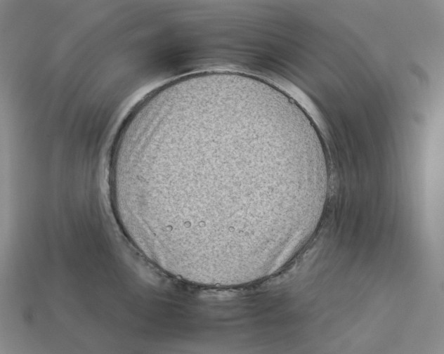 X0000112901051200910021430