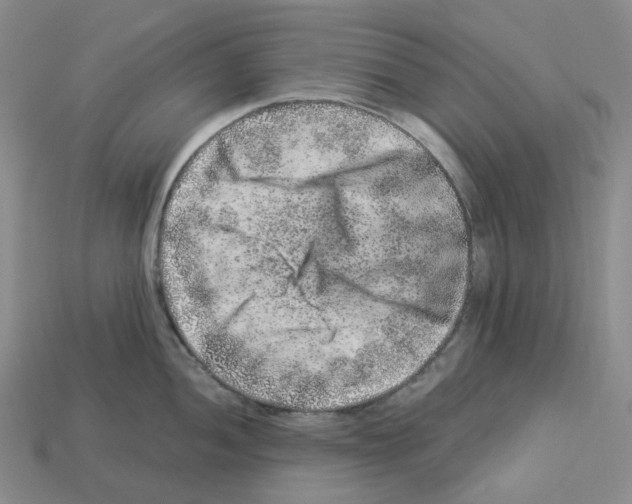 X0000112901052200910021430