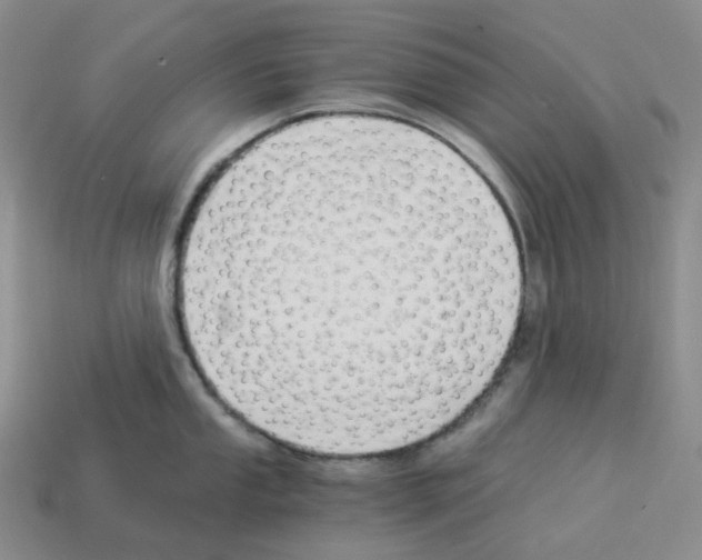 X0000112901053200910021430