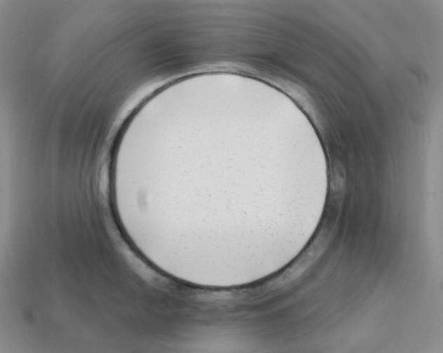 X0000112901054200910021430