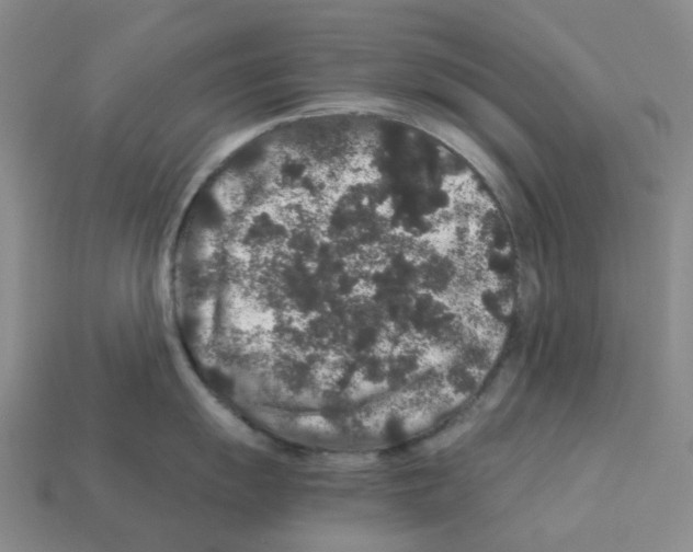 X0000112901055200910021430