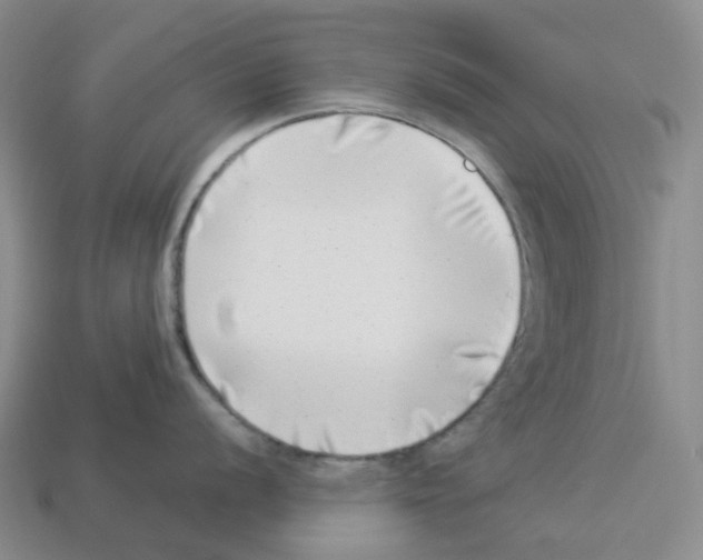 X0000112901056200910021430