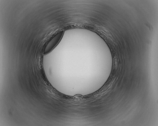 X0000112901060200910021430