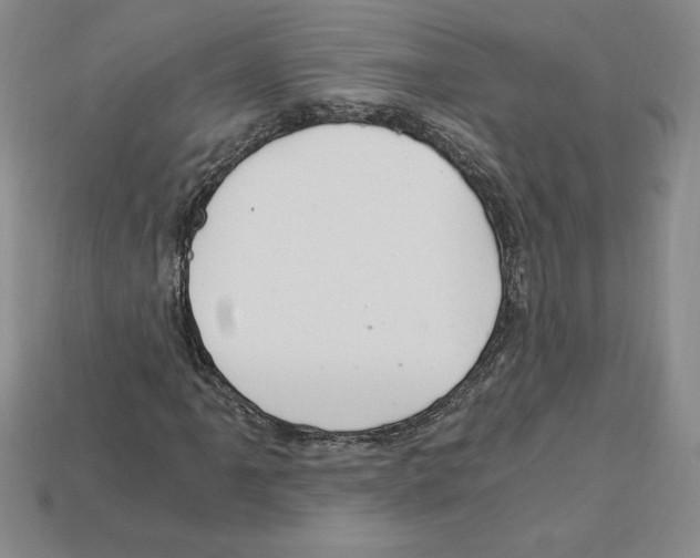 X0000112901061200910021430