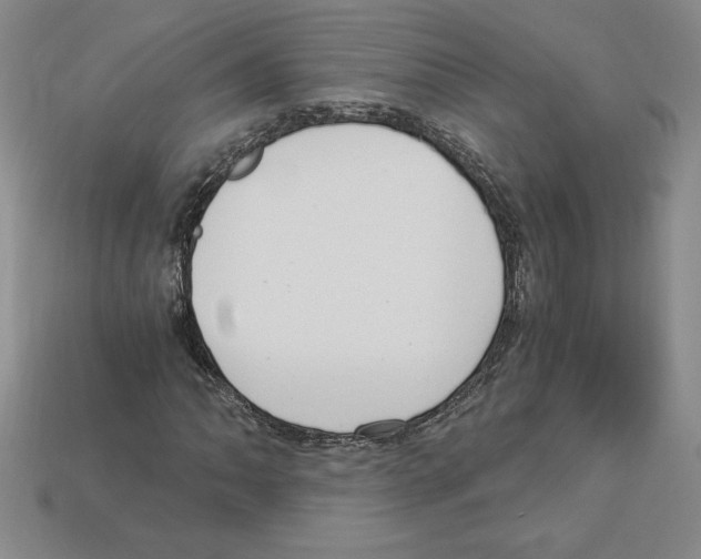 X0000112901062200910021430