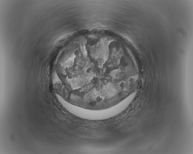 X0000112901063200910021430