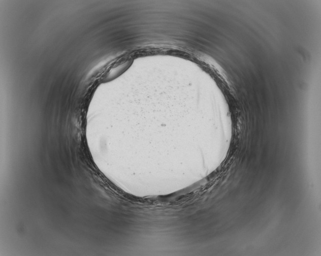 X0000112901064200910021430