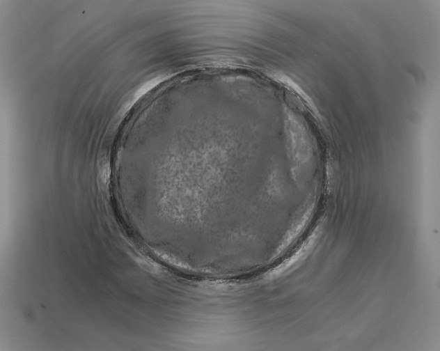 X0000112901065200910021430