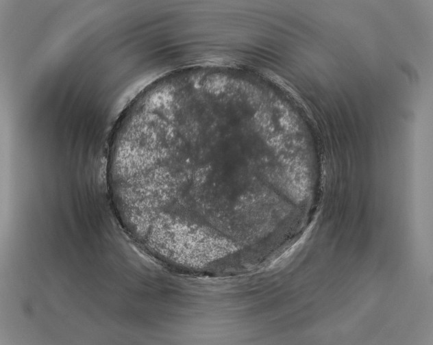 X0000112901066200910021430