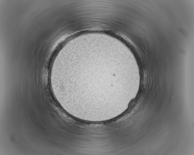 X0000112901067200910021430