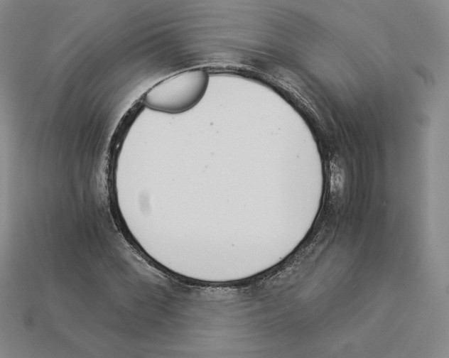 X0000112901068200910021430