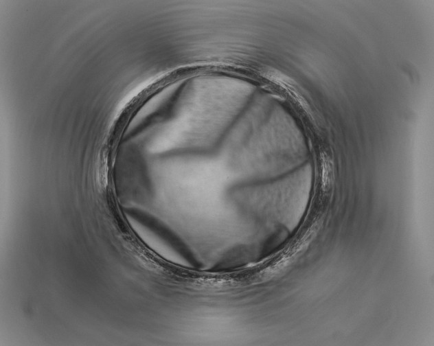 X0000112901069200910021430