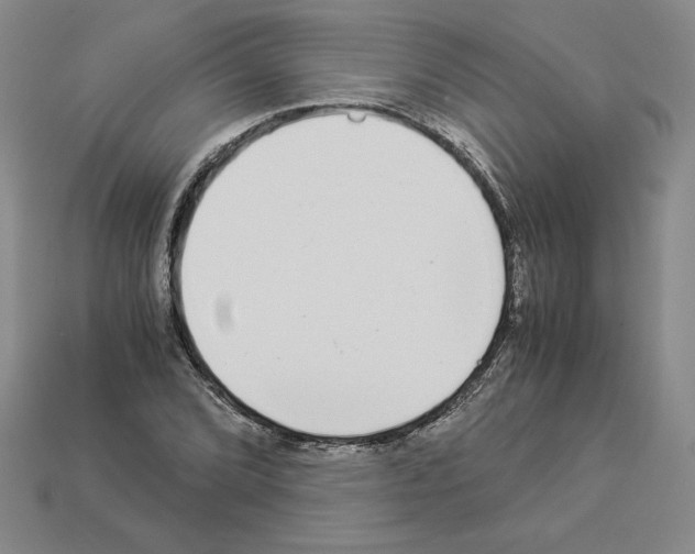 X0000112901072200910021430