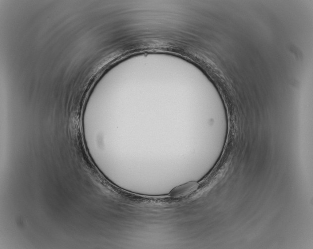 X0000112901073200910021429