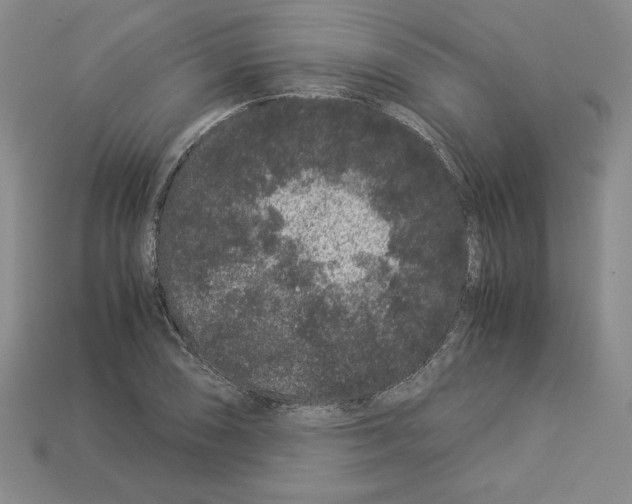 X0000112901074200910021429