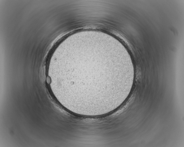 X0000112901075200910021429