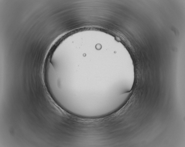X0000112901076200910021429