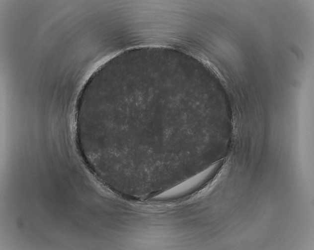 X0000112901077200910021429