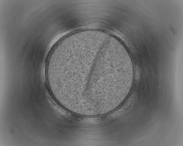 X0000112901078200910021429