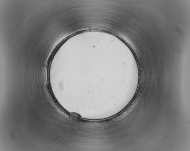X0000112901079200910021429