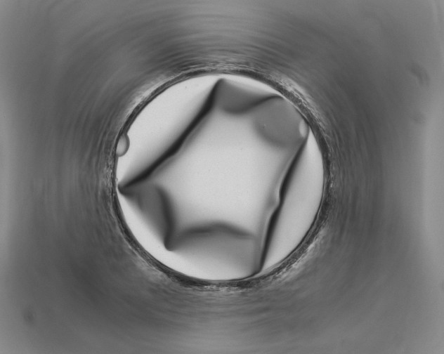 X0000112901081200910021429