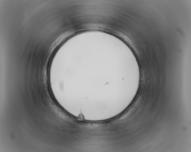 X0000112901082200910021429