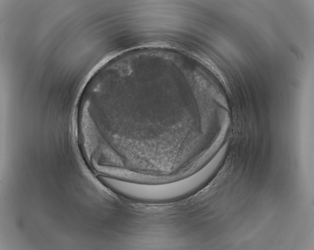 X0000112901084200910021429